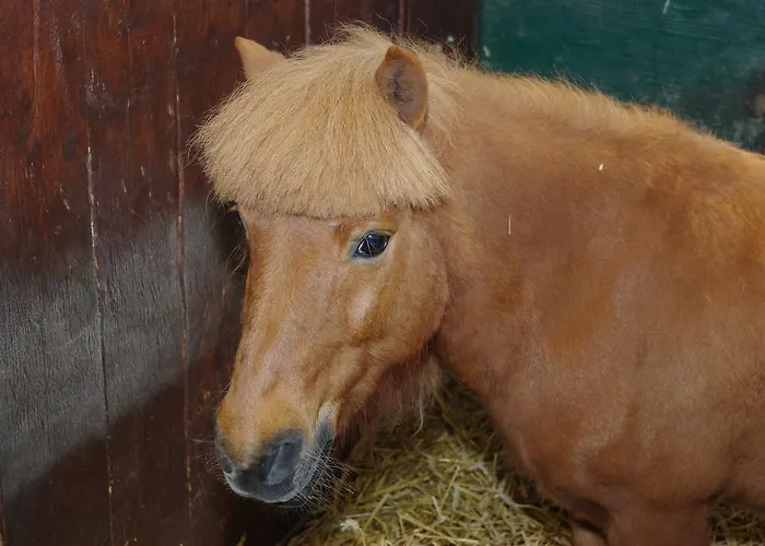 Pension Genengerhof Gæstehus 3*